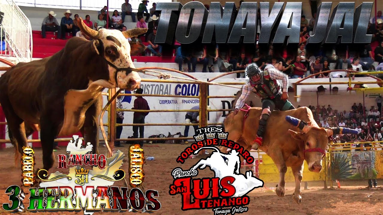 LO QUE LA GENTE QUERIA VER UN ESPECTACULO MUY GARANTIZADO QUE TORASOS  EN LA FERIA DE TONAYA JALISCO