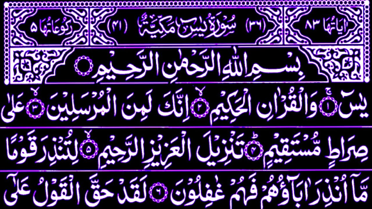 Surah Yaseen Surah Ar Rahman | best quran reaction Yaseen | #surahyaseen  #quran citation