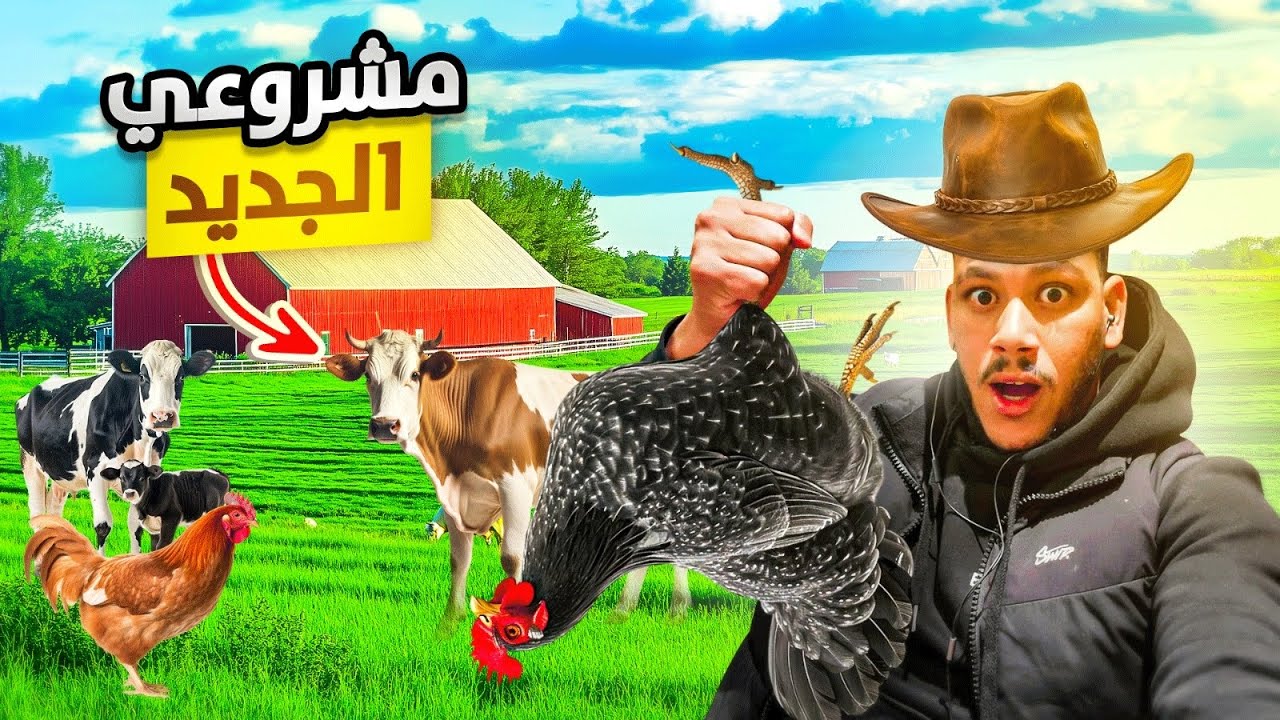 مشروع تربية الدجاج البلدي برأس مال صغير طريقك للنجاح خطوة بخطوة 🥳بناء كوخ دجاج 🐓