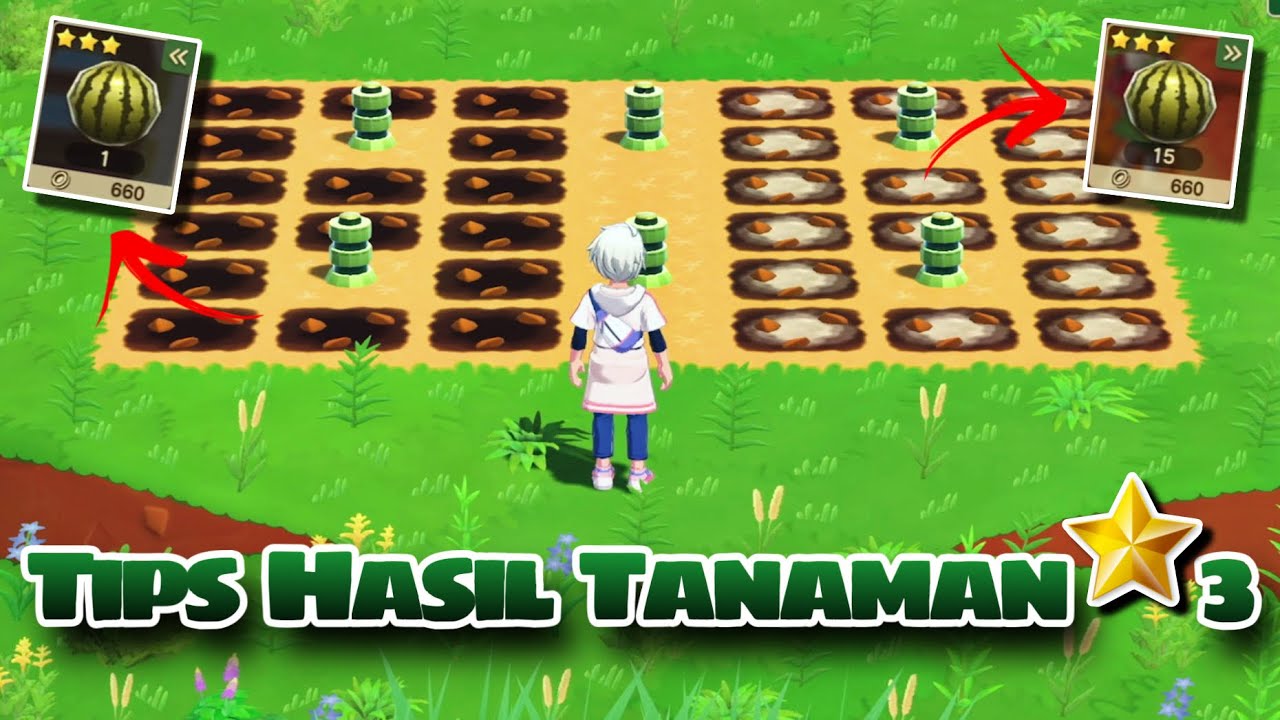 TIPS!!! BIAR HASIL TANAMAN BINTANG 3 - HARVEST MOON HOME SWEET HOME #71