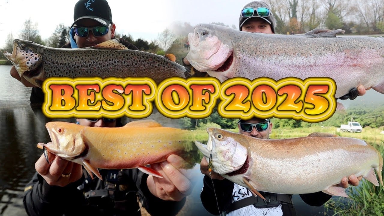 Forellenangeln 2025 Best Of | Meine erfolgreichsten Methoden