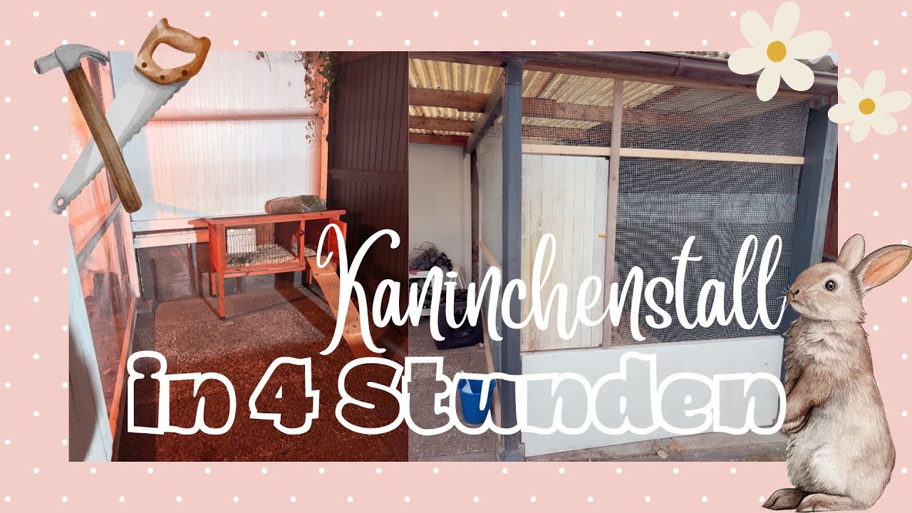 Kaninchenstall selber bauen drau&szlig;en 🐰💕Kaninchen Gehege | Kaninchenvoliere | Hasenstall