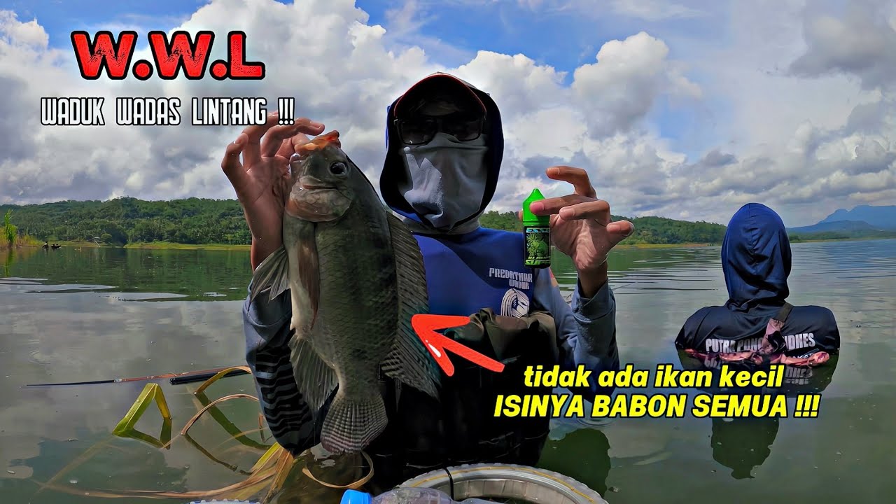 IKAN DI SINI ISINYA BABON SEMUA❗️❗️❗️mancing ikan nila di waduk Wadas Lintang