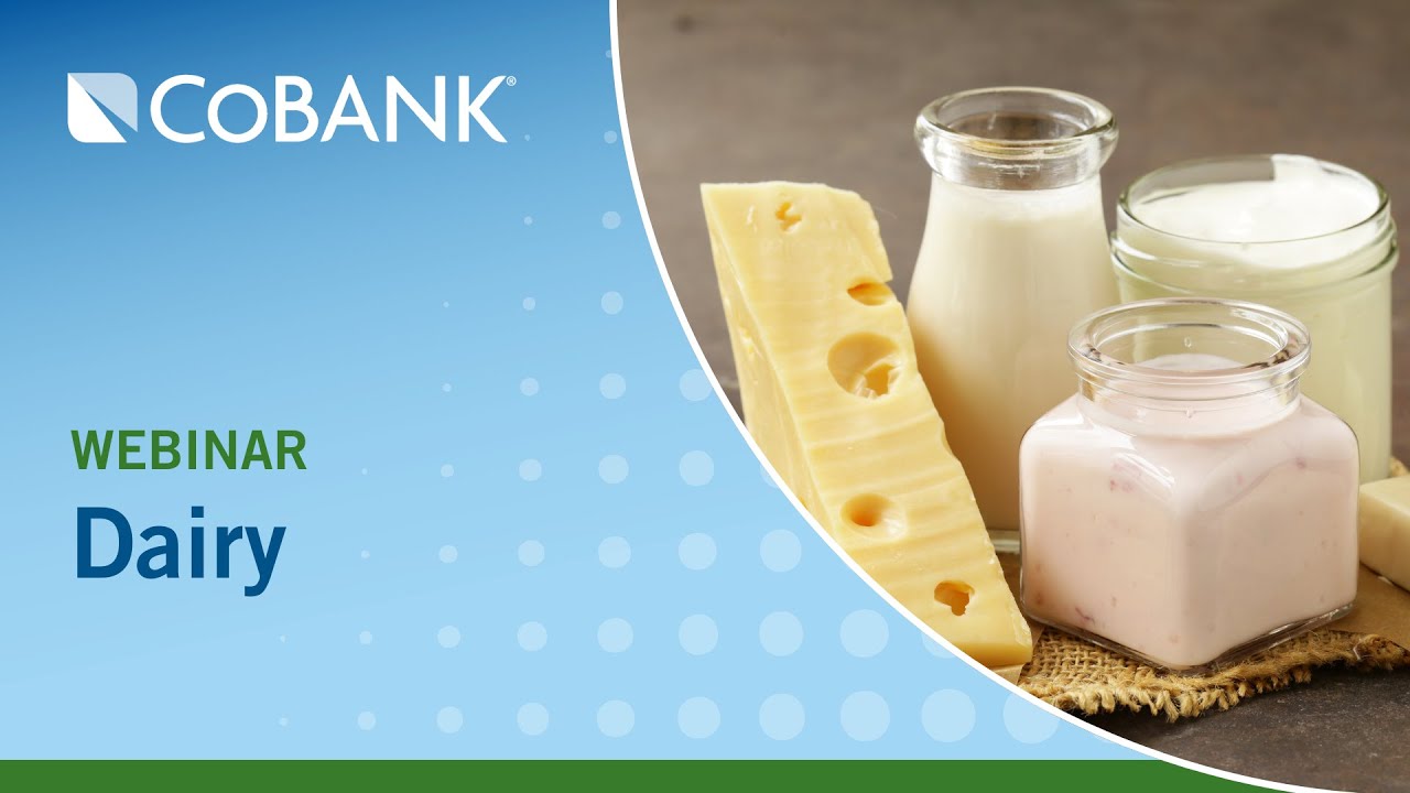 Dairy Productivity is Down… Or is it? | Knowledge Exchange Division