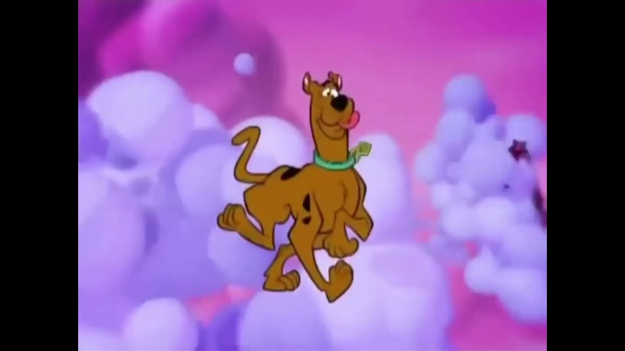 [RARE] tooncast LA - Bumper/You are watching: Scooby and Scrappy Doo (2016)