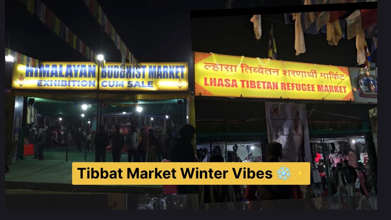Tibbat Market ❄️🧣| Himalayan Bhotia Market Noida | Ye Kya Pta Chala | 