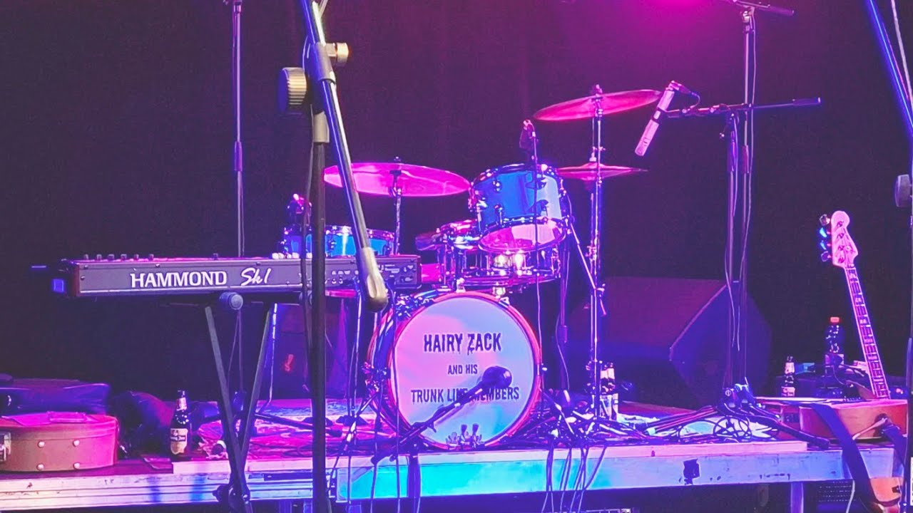 Tom Petty - Mary Jane's Last Dance (cover) #tompetty #heartlandrock