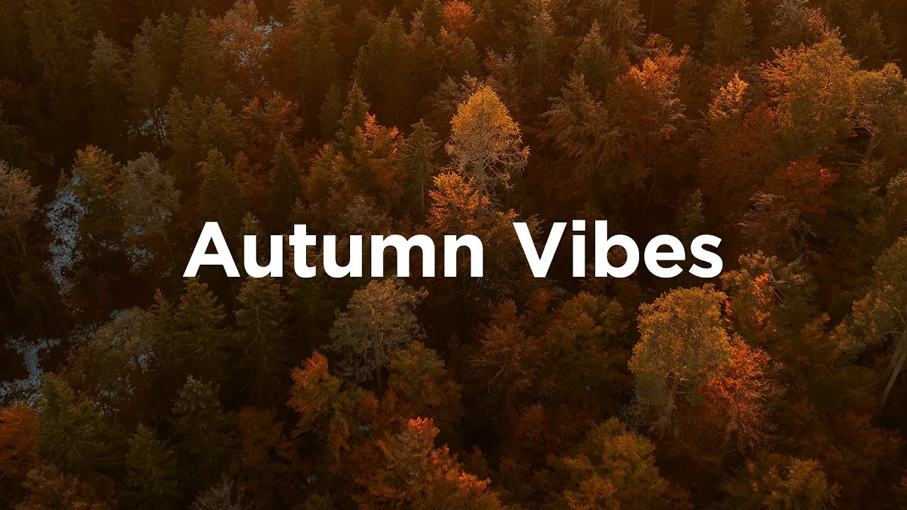 Autumn Vibes 🌅 Sunset Chillout