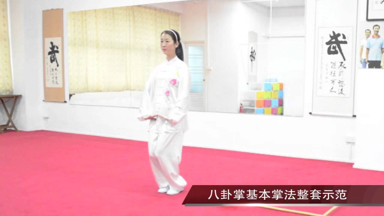 李春玲八卦掌基本掌法整套示范－功夫者