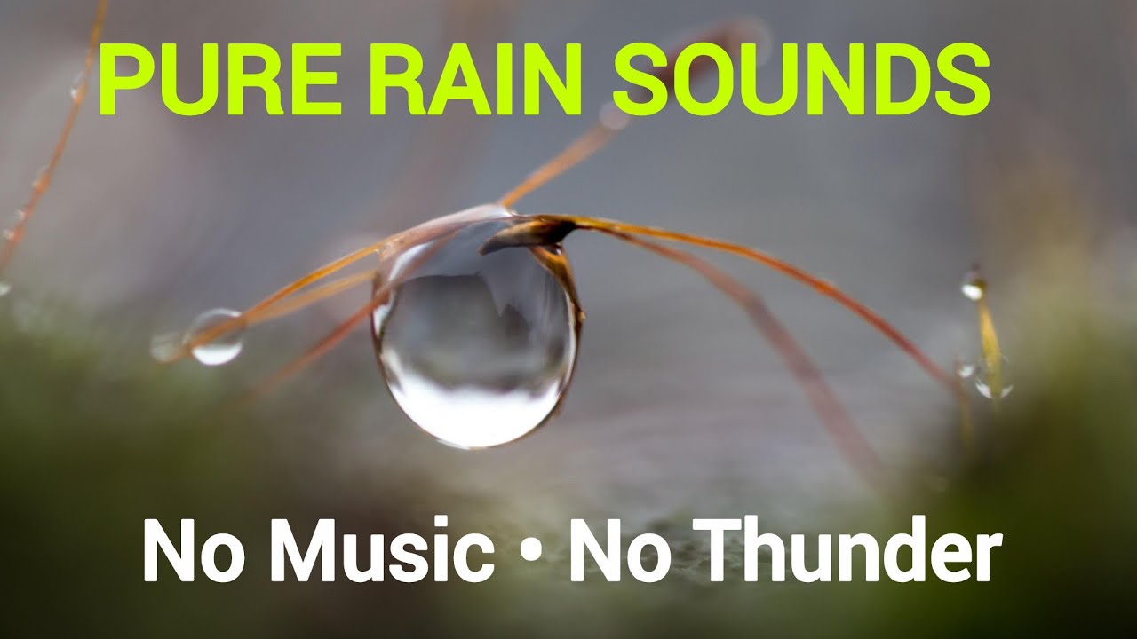 Pure Rain Sound 🌧️ | Natural Rain for Deep Sleep, Relaxation & Study (No Music, No Thunder)