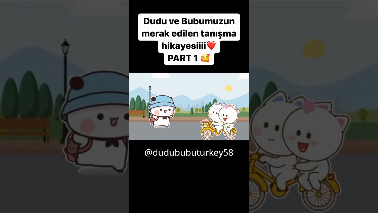 DUDU VE BUBU TANIŞMA BÖLÜM 1