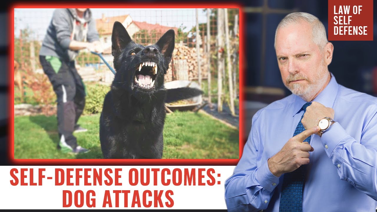 The Consequences Of Self-Defense In Dog Attacks