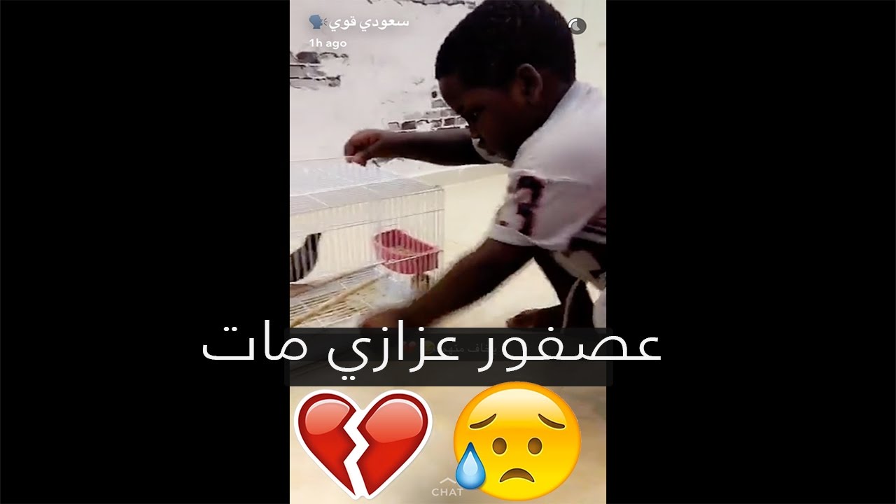 عزازي زعلان على سعودي قوي  + بث أمس