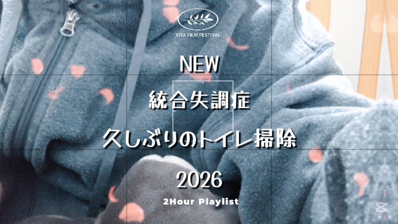 統合失調症ユーチューバー。久しぶりのトイレ掃除。