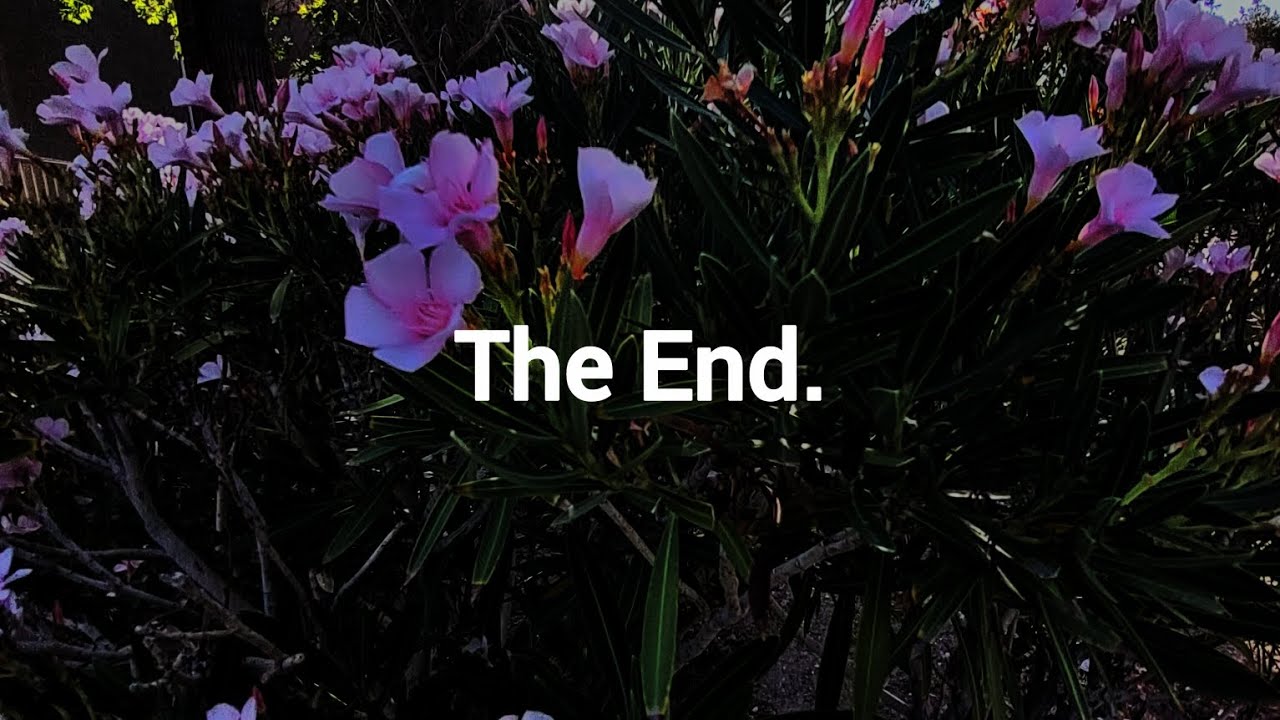 The End. (Prod. Flower)