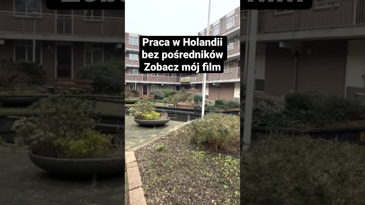 Praca w Holandii bez agencji #amsterdam #holandia