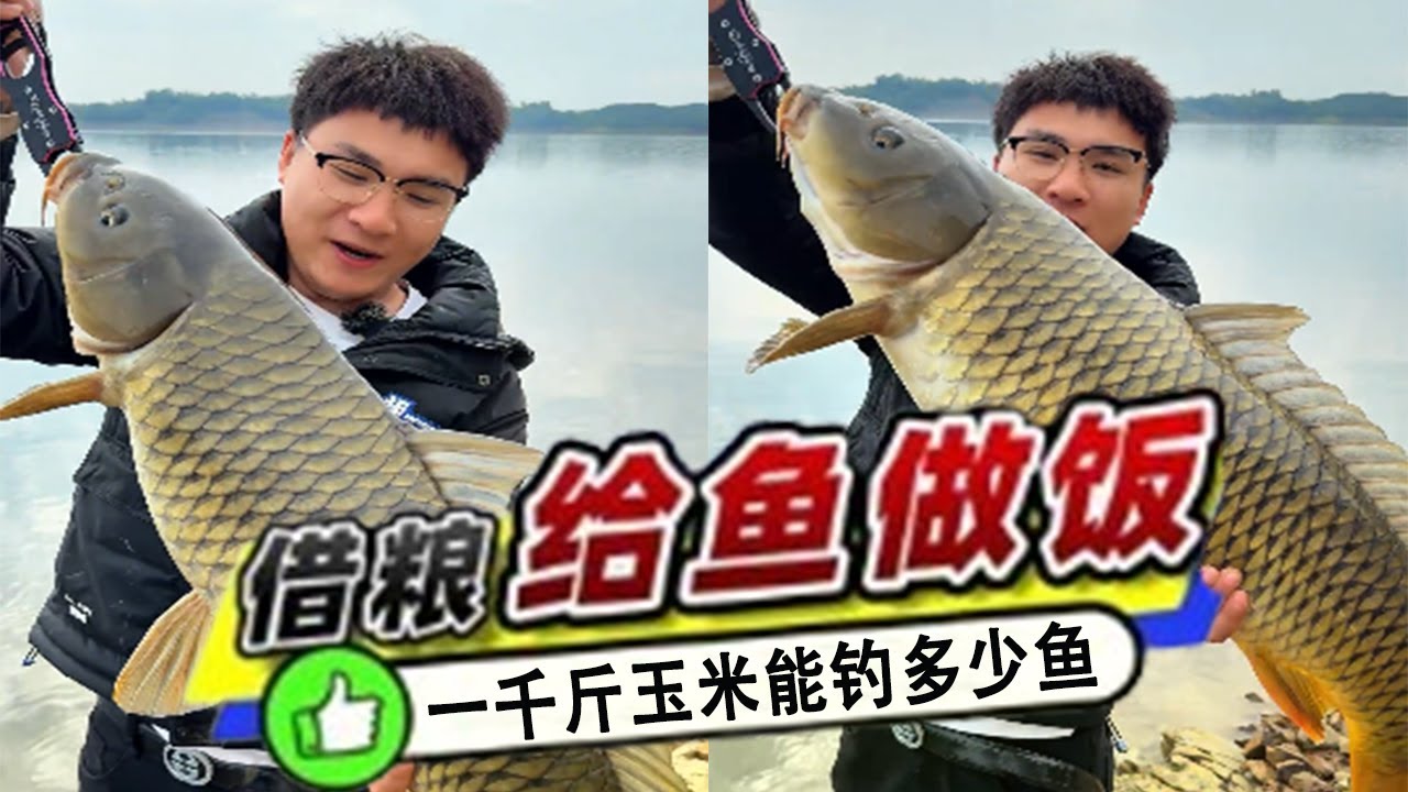 壹千斤玉米狠砸打窩！持續發窩中，這波到底能釣多少魚？#吳天宇在路上  #2026dou來釣魚 #dou是釣魚人 #原來釣魚才是運動頂流