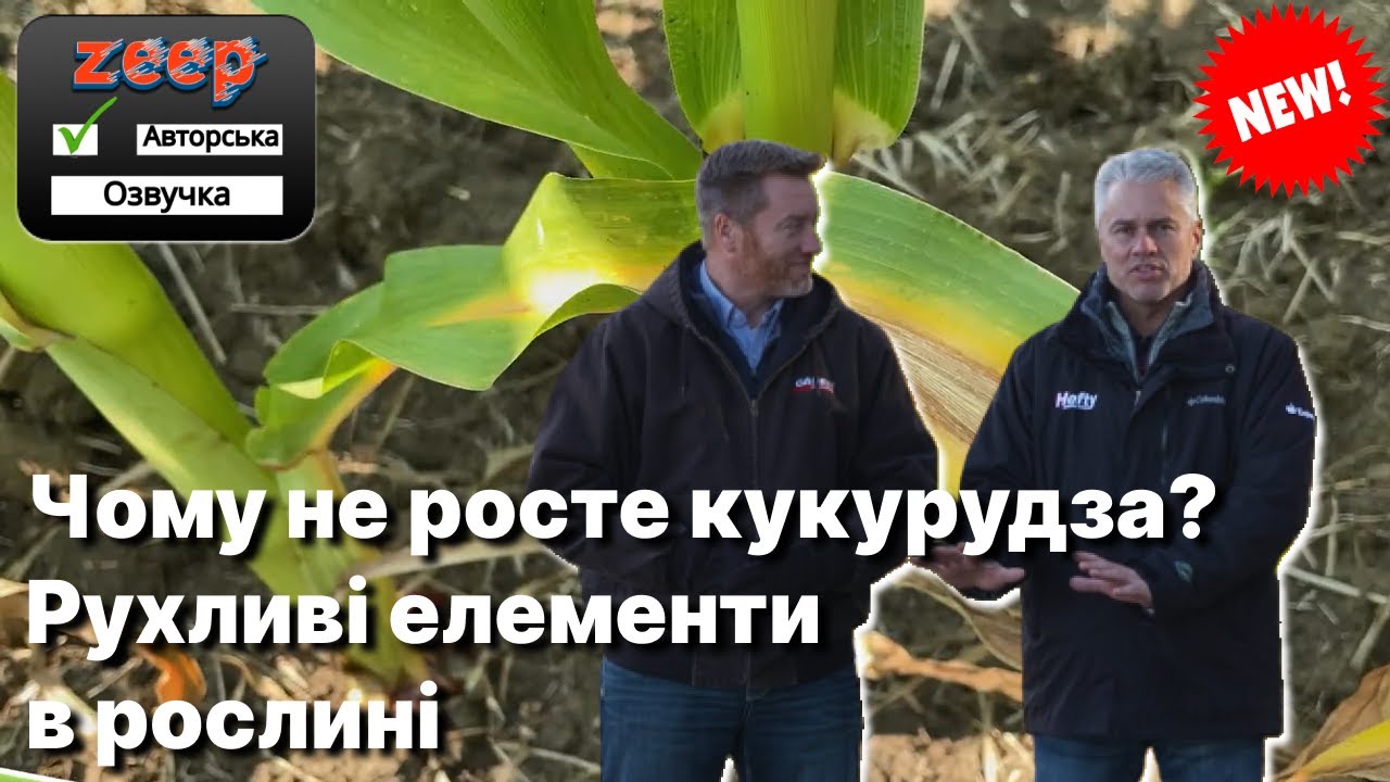 Причини припинення росту і розвитку культури? Поживні елементи в рослині: рухливі та нерухливі.