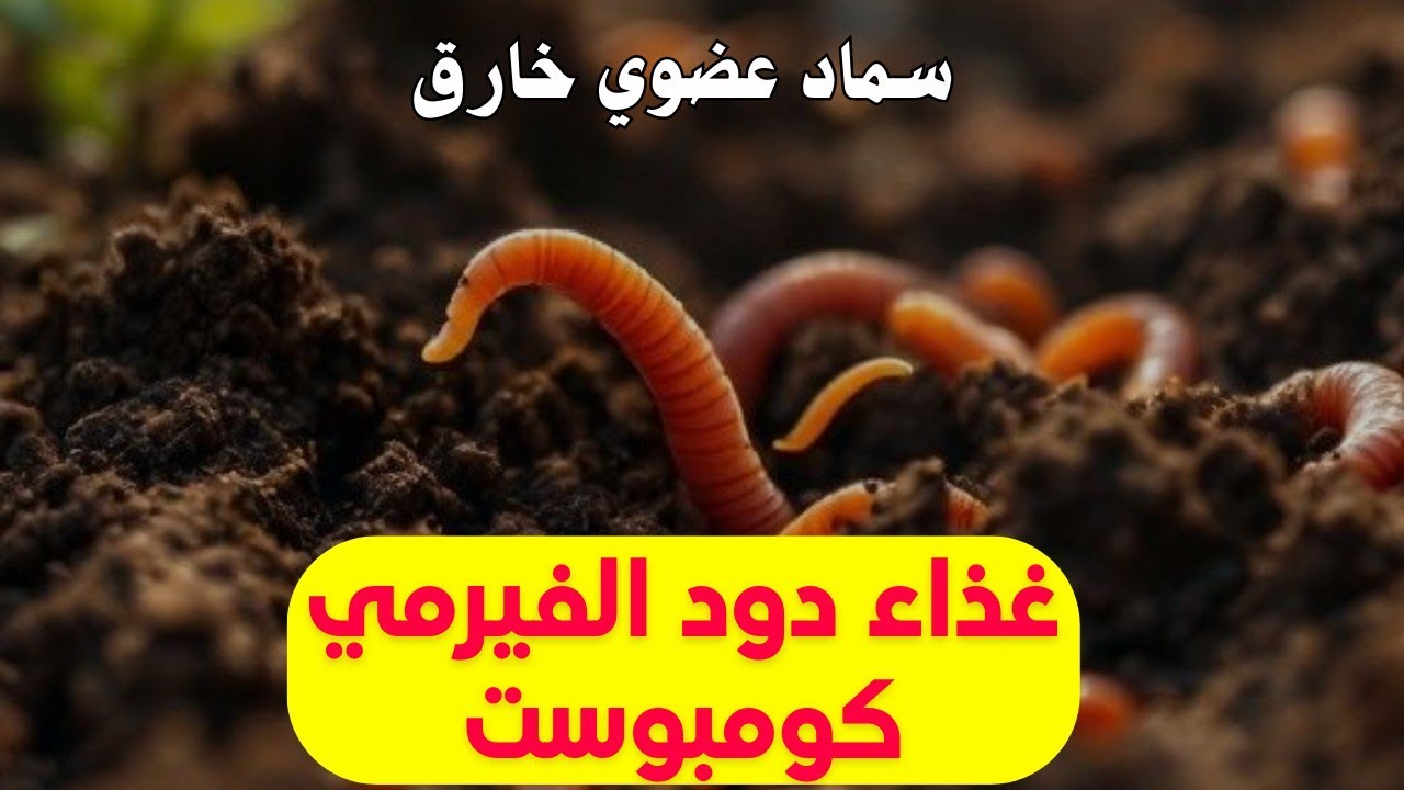 ما هو غذاء دود الفيرمي كومبوست