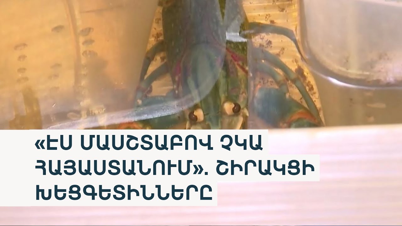Խեցգետիններն այսուհետ Շիրակում էլ կձմեռեն. Ողջիում առաջին խեցգետնաբուծարանն են հիմնում