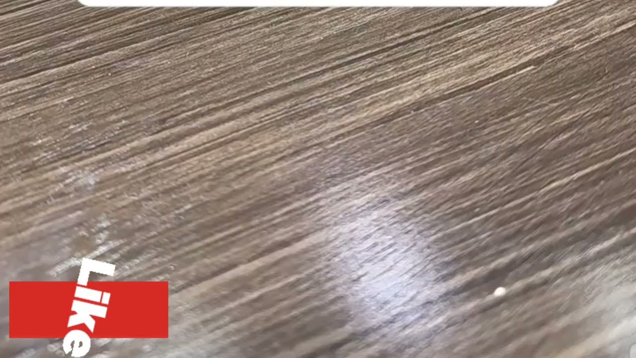 حدود العلاقة الجنسية من الخلف | د. سلطانة العنزي