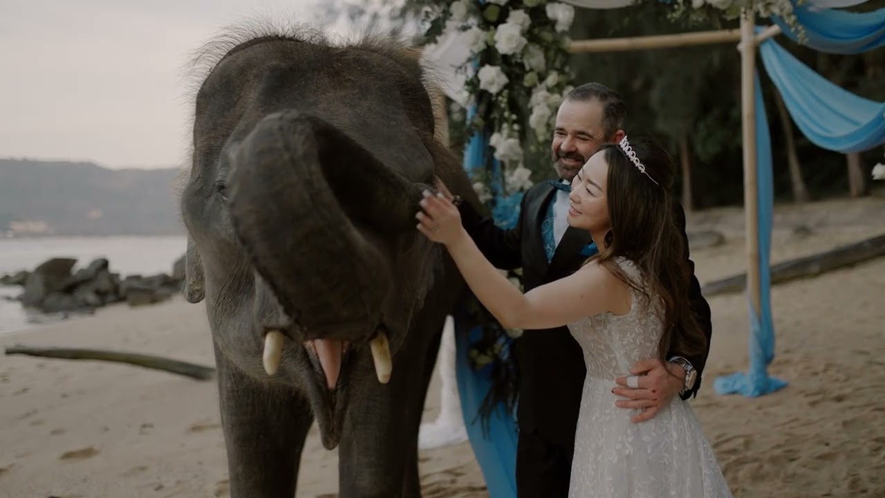 Joshua & Qing Wedding Video Hua Beach, December 18, 2024