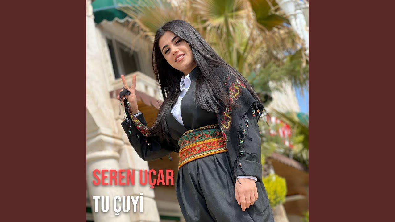 Tu Çuyi