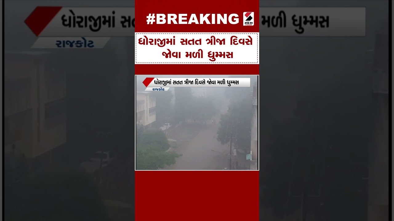 Rajkot News | ધોરાજીમાં સતત ત્રીજા દિવસે જોવા મળી ધુમ્મસ | Dhoraji | Foggy Weather | Weather Update