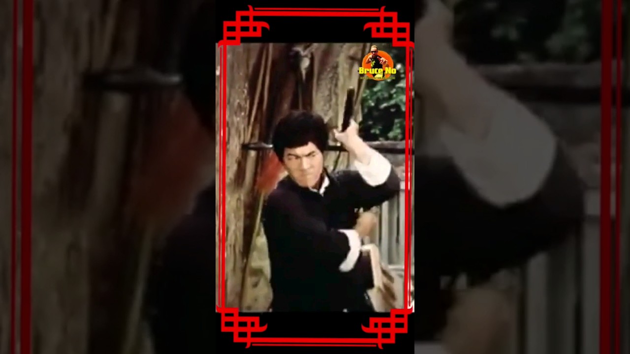 FIST OF FURY 2 - Brucoscopie