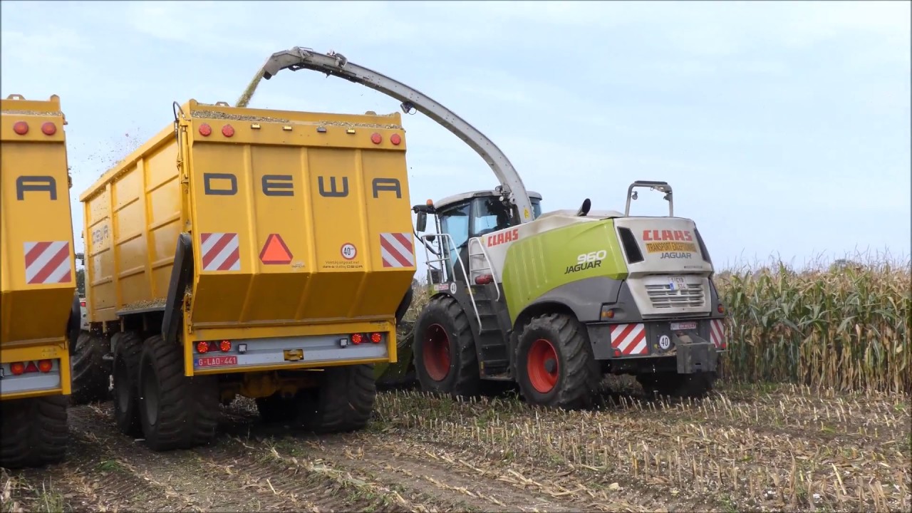 Wellens mais hakselen 2017 (1) , Claas Jaguar 960