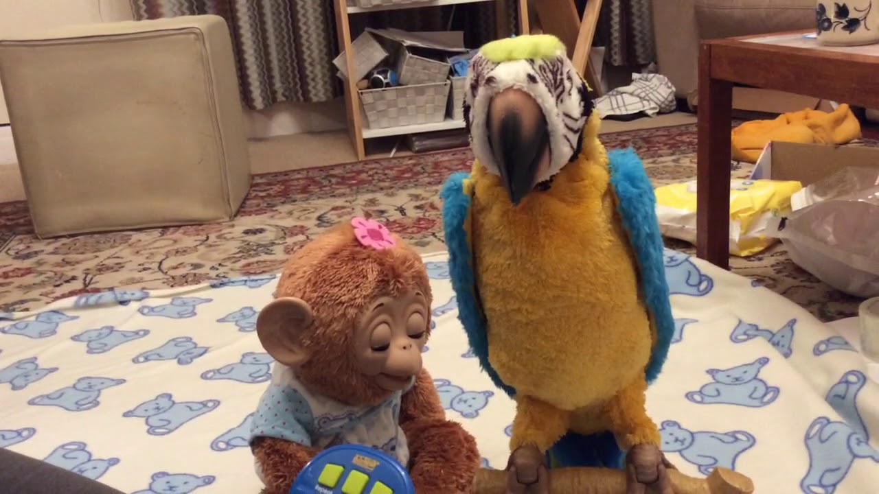 Furreal Squawkers McCaw demo part 2
