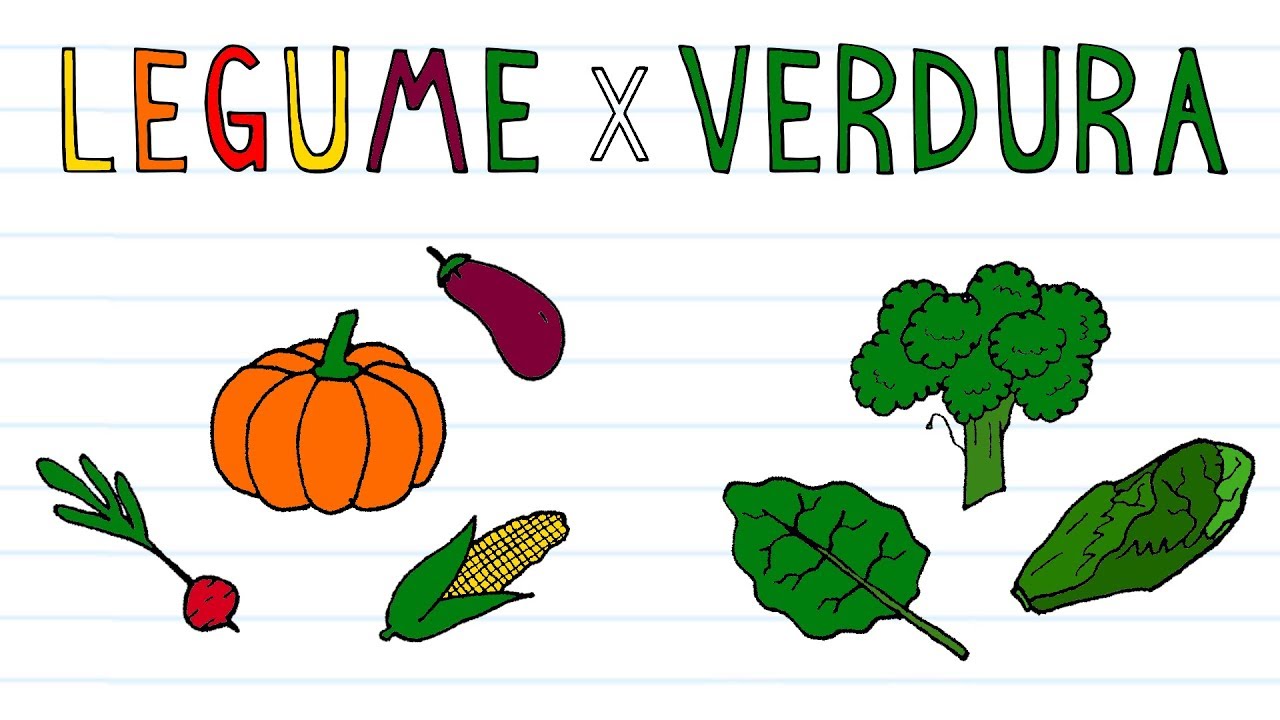 DECIFRANDO O MISTÉRIO: QUAL É A DIFERENÇA ENTRE LEGUMES E VERDURAS?