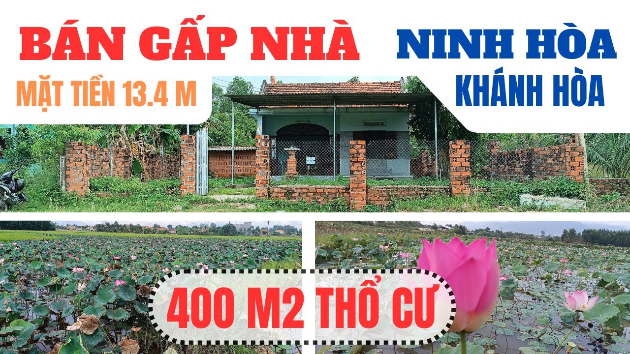Bán nhà Ninh Hòa GẤP thổ cư 400m2 mặt tiền 13m đường ÔTÔ gần trung tâm
