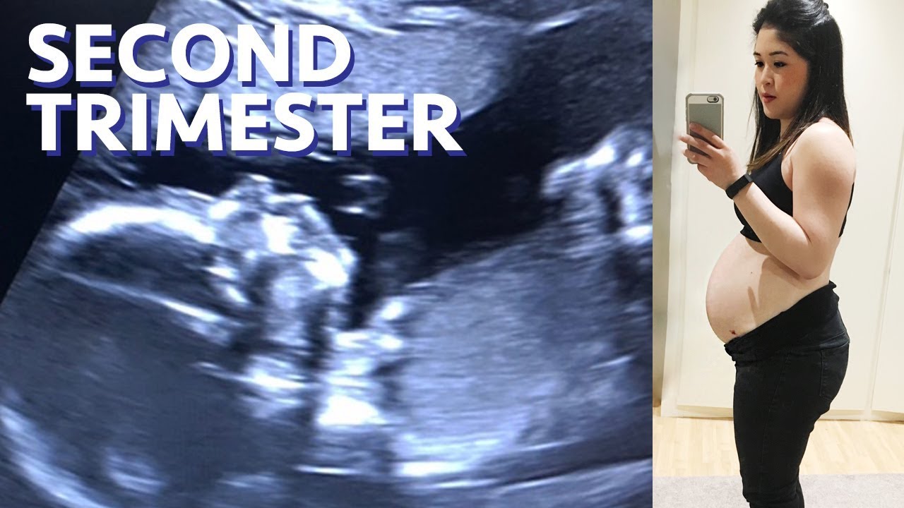 SECOND TRIMESTER - SCIATICA, FIBROIDS, 20 WEEK SCAN | Sam Loves