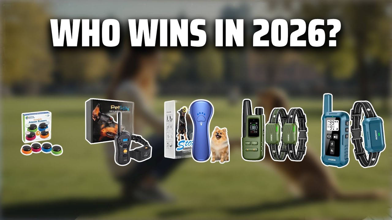 The Top 5 Best Dog Training Buzzer in 2026 - Must Watch Before Buying!