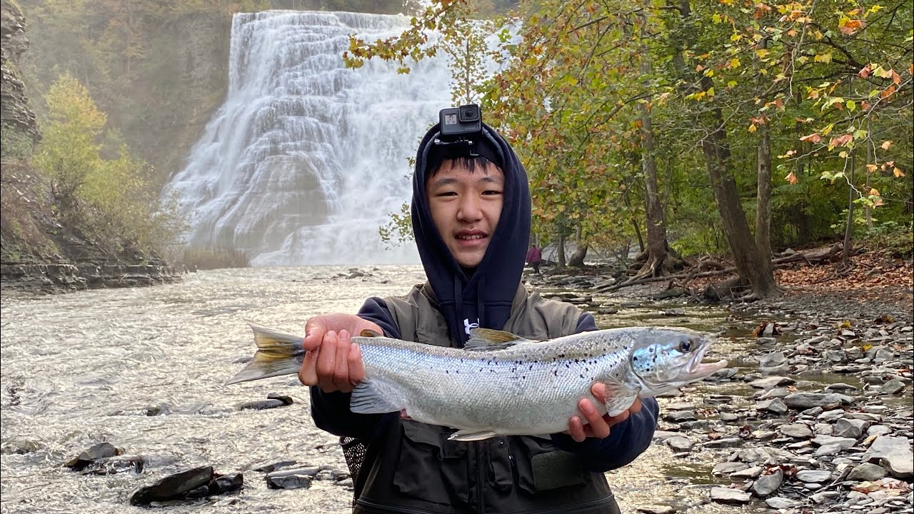 Finger Lakes Tributary Salmon Fishing under Big Waterfalls! (2021 Cayuga Lake Salmon Trip)
