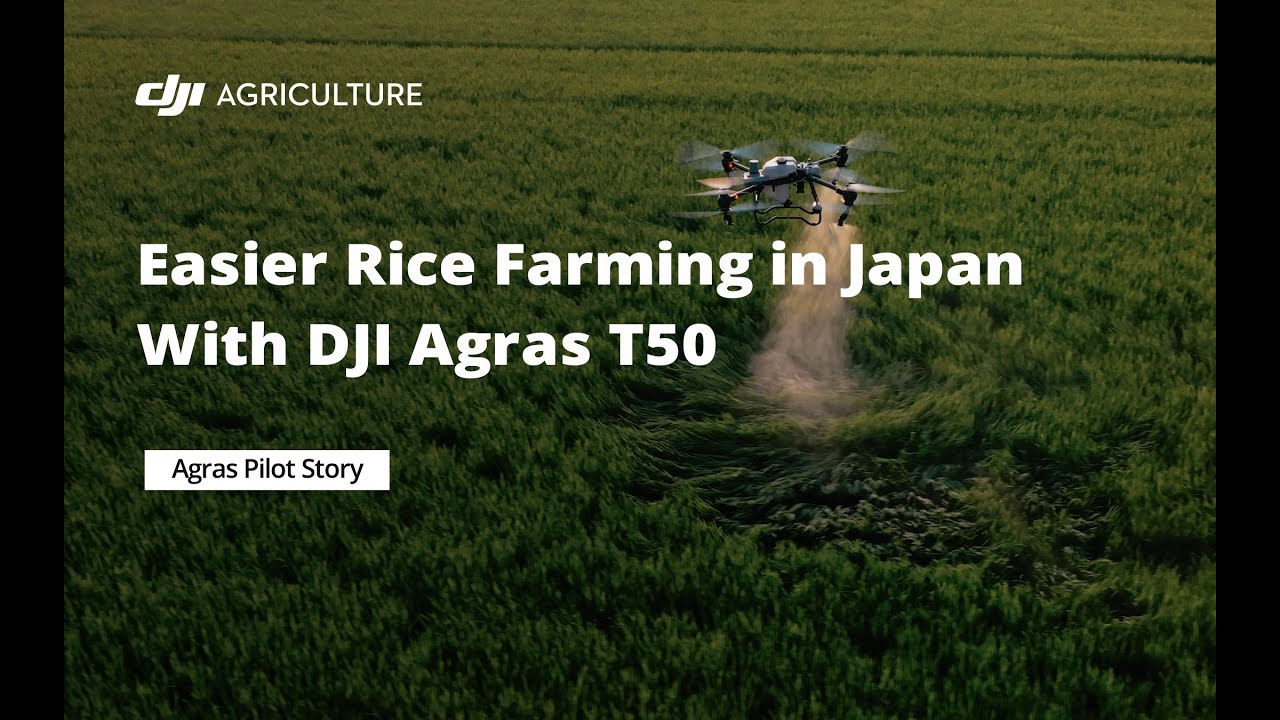 Easier Rice Farming in Japan With DJI Agras T50