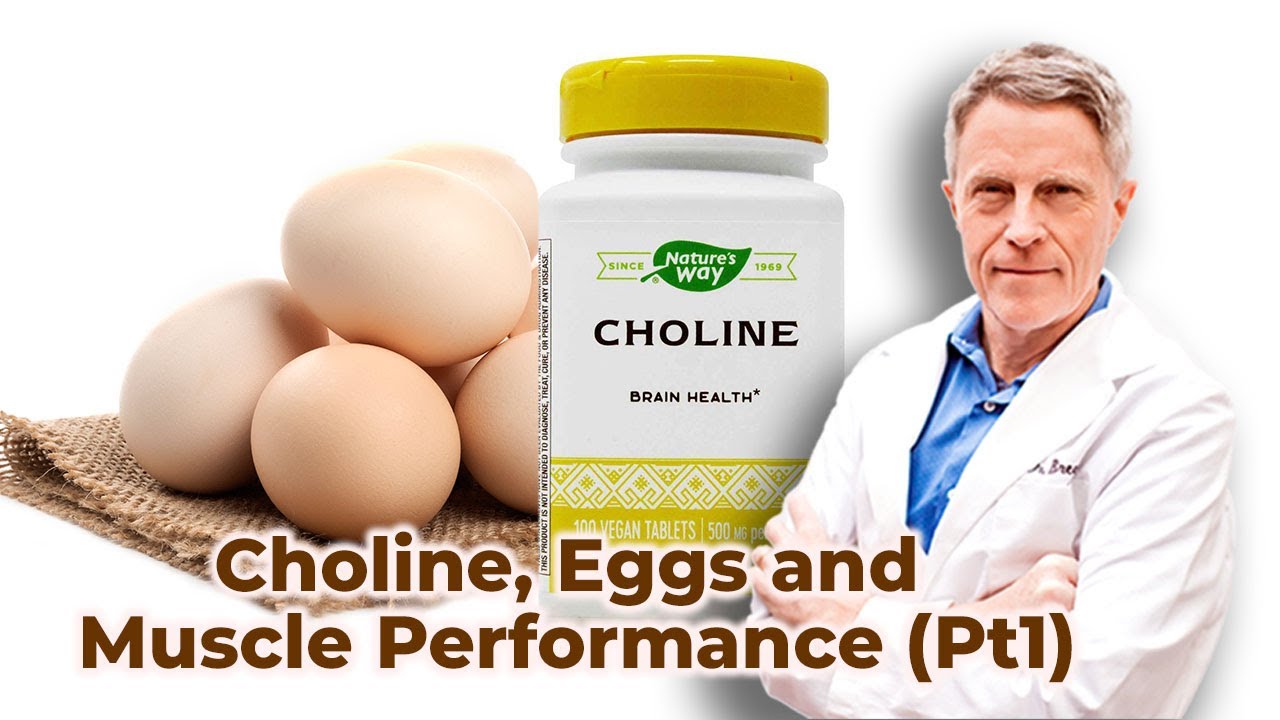 Choline, Eggs and Muscle Performance (Pt1) - FORD BREWER MD MPH