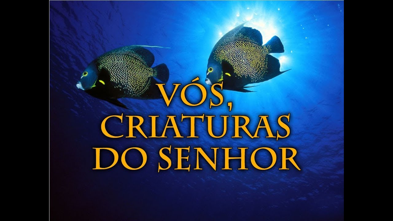 015 Vós, Criaturas do Senhor - Hinário Adventista HD