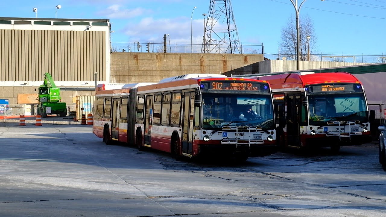 TTC Buses At Warden Station
