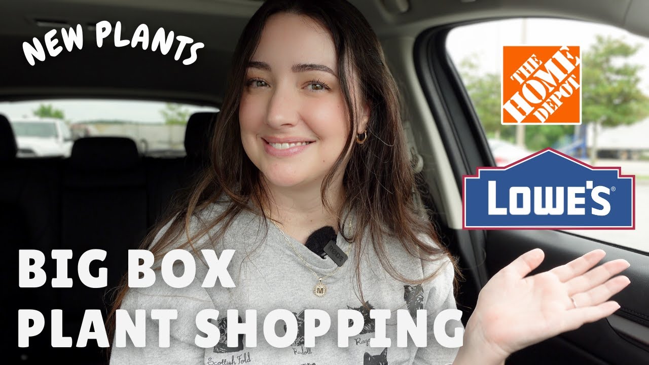 Big Box Plant Shopping at Lowe's and Home Depot! 🌿