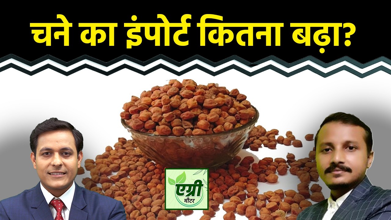 Agri Commodity : अप्रैल से फरवरी के दौरान कैसी रही चने की आवक? Commodity Market | NCDEX