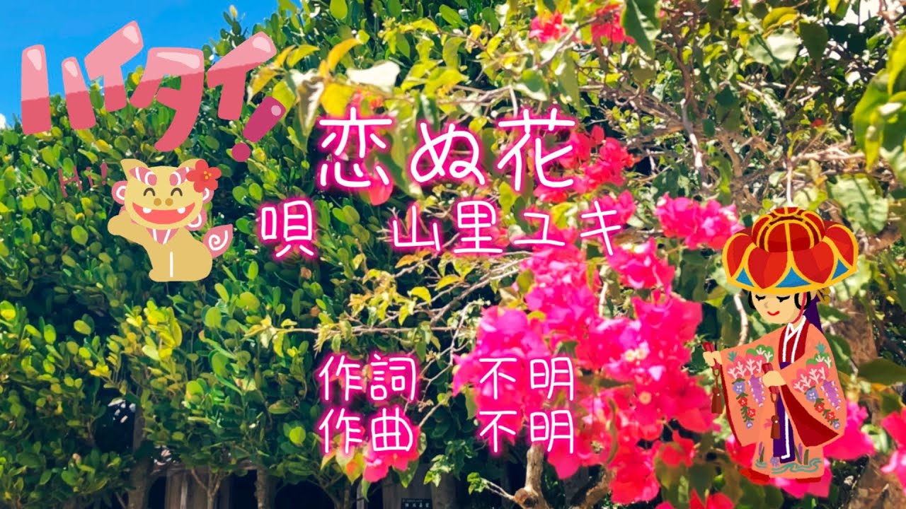 【恋ぬ花（くいぬはな）：歌詞付き】唄：山里ユキ　沖縄民謡の名曲シリーズ