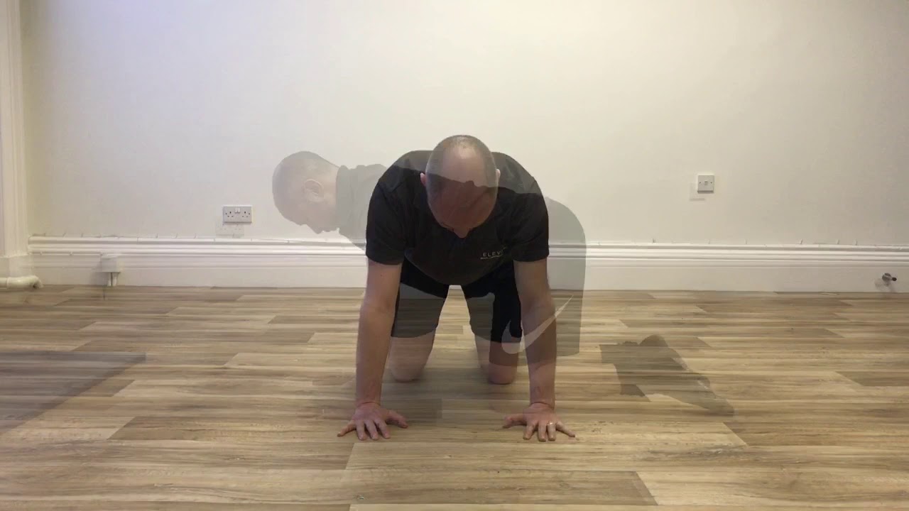 Bird Dog Exercise - Lumbar Rotational Stability - Low Back Rehabilitation Exercise