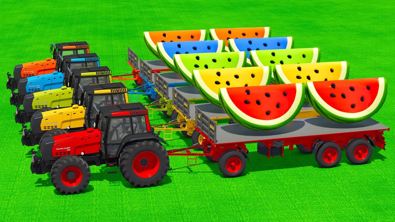 LOAD AND TRANSPORT GIANT WATERMELONES WITH VALTRA TRACTORS & FORKLIFTS - Farming Simulator 25