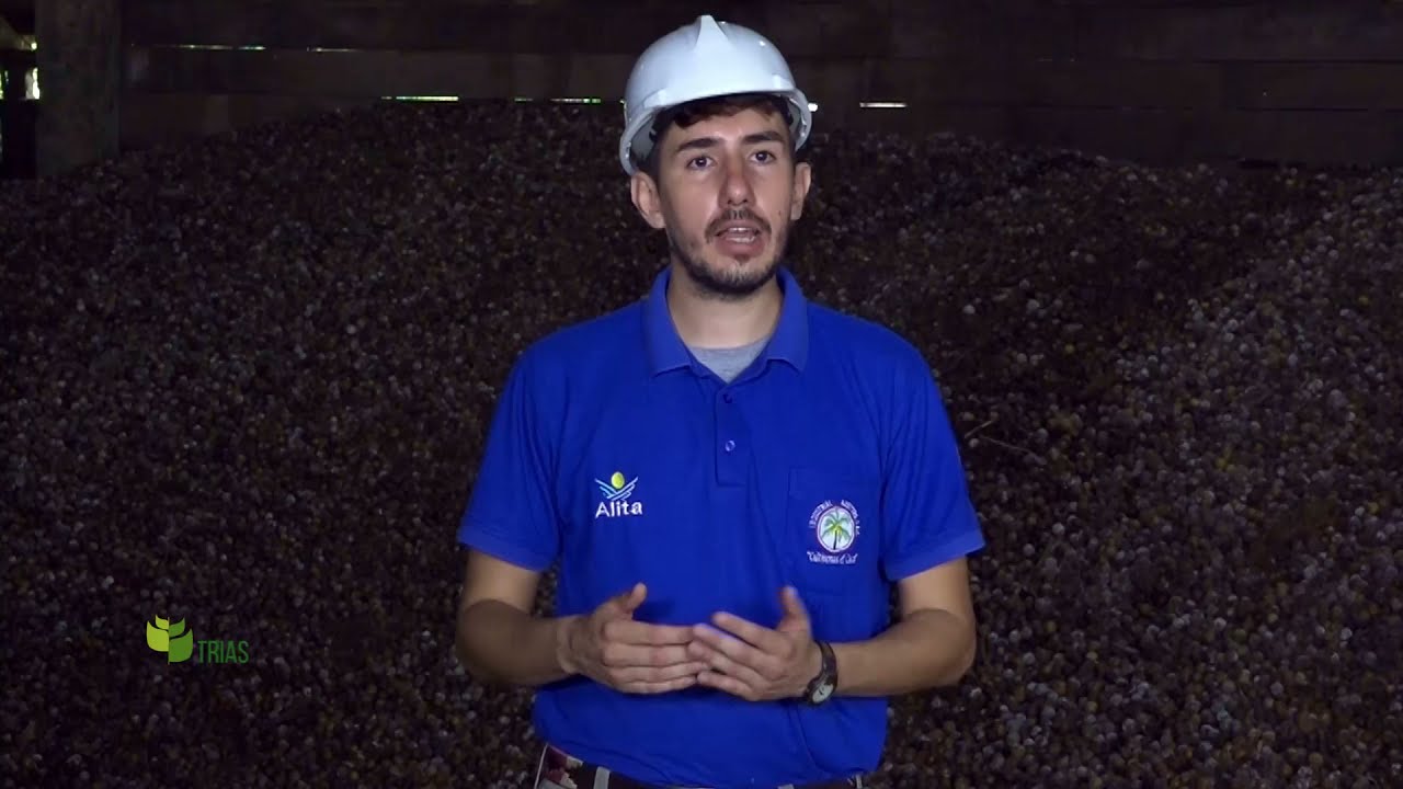 AGROINDUSTRIAS - ACEITE DE COCO