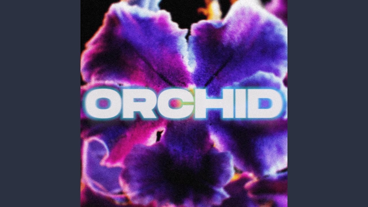 Orchid