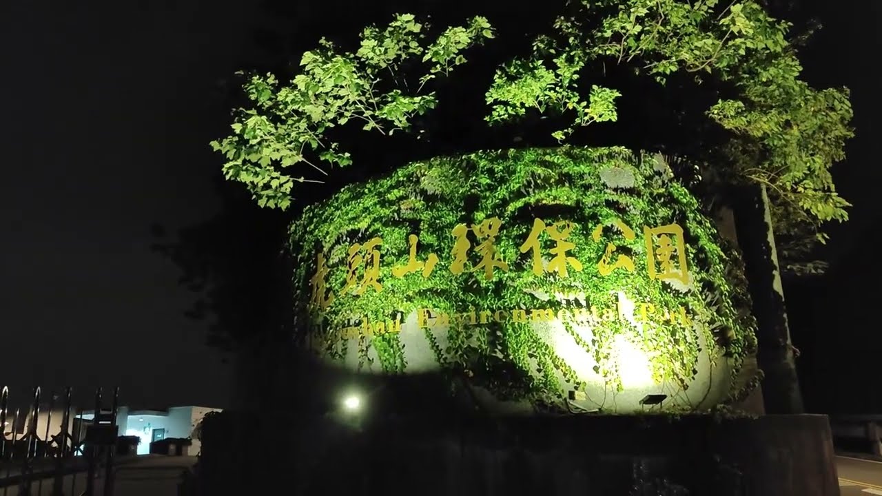 桃園虎頭山環保公園｜悠閒散步｜浪漫夜景約會聖地｜晚上不要一個人來，會發生很可怕的事 #夜景 #浪漫 #情侶 #約會