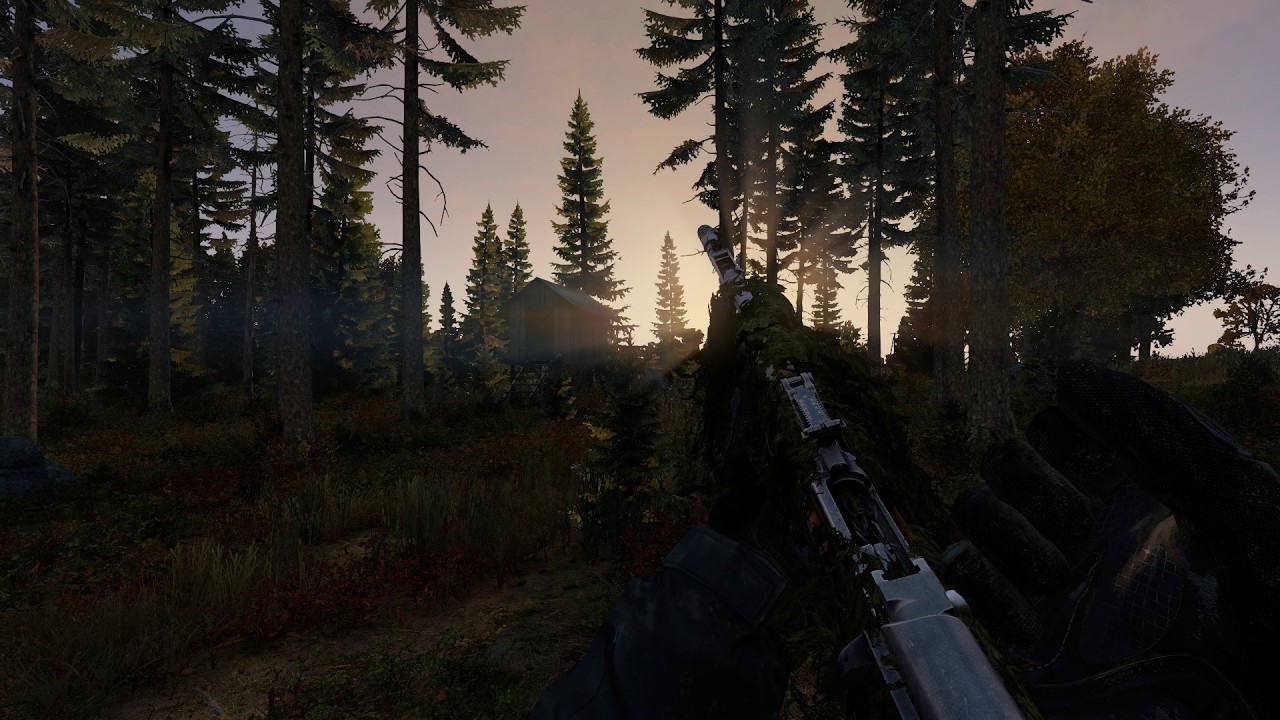 How a 300 Hour Solo Survives Official DayZ