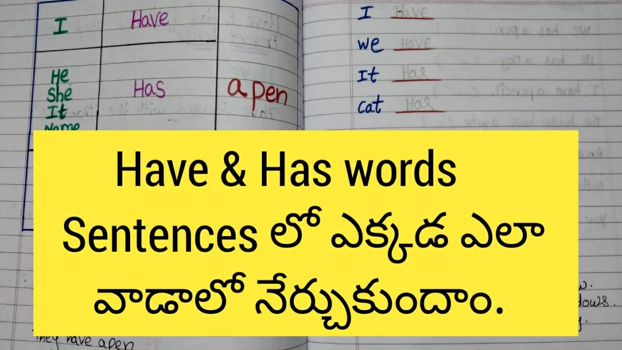 How to Use Have & Has || Use of Have & Has for kids in English Grammar